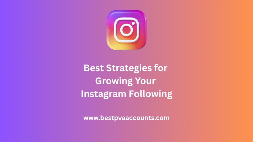 Instagram Following