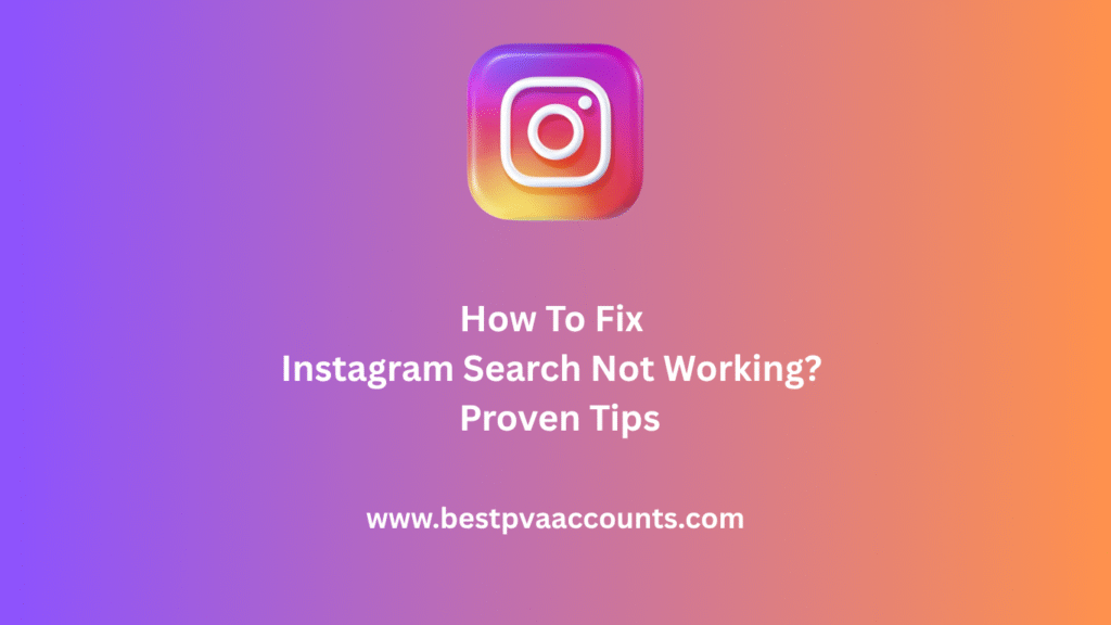 Instagram Search