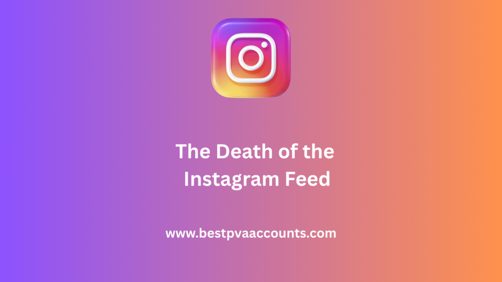 Instagram Feed