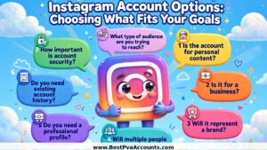  PVA Instagram accounts