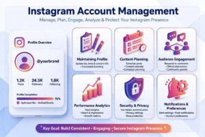 manage Instagram accounts